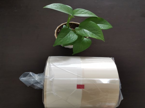 分析出玻璃纸药品包装膜发生斑点的几点原因